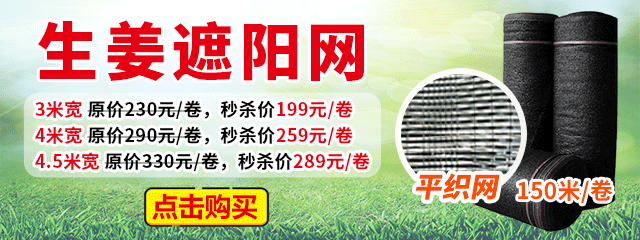 生姜遮阳网
