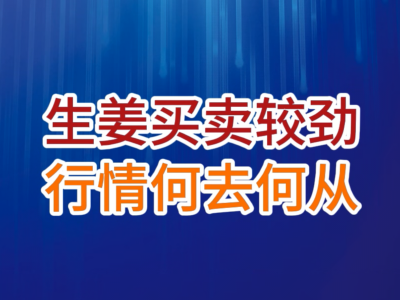 老石说姜：生姜买卖较劲、行情何去何从？ ()