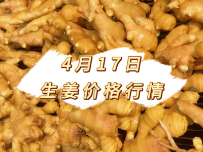 4月17日 生姜价格行情 ()
