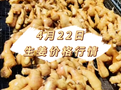 4月22日 生姜价格行情 ()