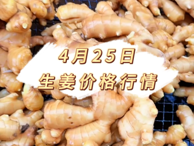 4月25日 生姜价格行情 ()
