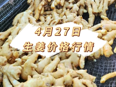 4月27日 生姜价格行情 ()