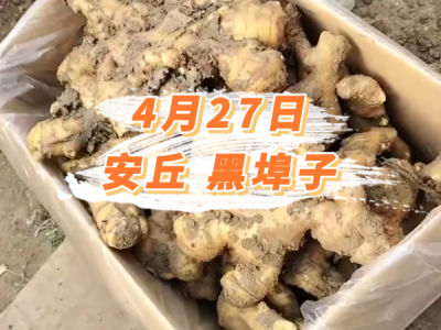 4月27日 安丘黑埠子价格行情 ()