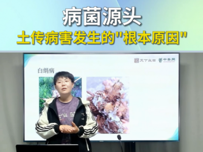病菌源头土传病害发生的根本原因 ()