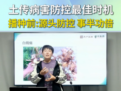 土传病害防控最佳时机播种前：源头防控，事半功倍 ()