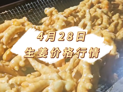 4月28日 生姜价格行情 ()