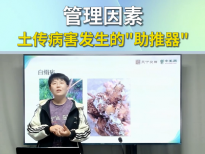 管理因素--土传病害发生的助推器 ()