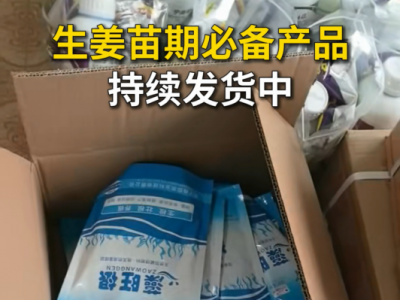 生姜苗期必备产品持续发货中... ()
