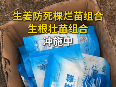 生姜防死棵烂苗组合 生根壮苗组合 冲施中... ()