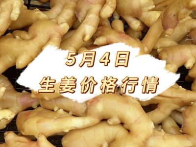 5月4日 生姜价格行情 ()
