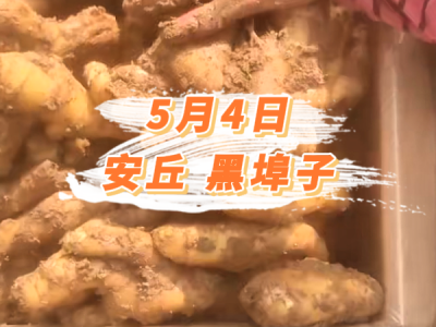 5月4日 安丘黑埠子价格行情 ()