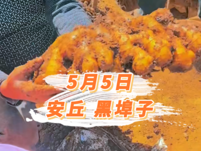 5月5日 安丘黑埠子价格行情 ()