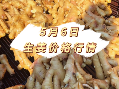 5月6日 生姜价格行情 ()