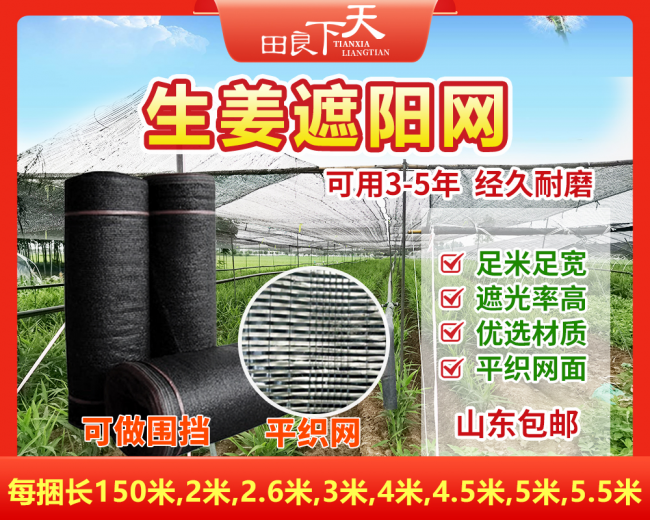 生姜遮阳网