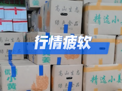 5月8日广州江南批发市场价格行情 ()
