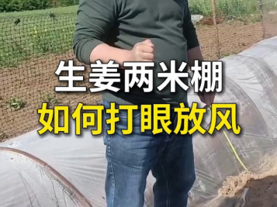 生姜两米棚如何打眼放风？ ()