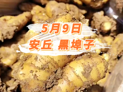 5月9日 安丘黑埠子价格行情 ()