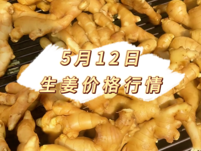5月12日 生姜价格行情 ()