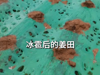 5月11日山东沂水出现冰雹天气 ()