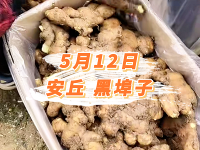 5月12日 安丘黑埠子价格行情 ()
