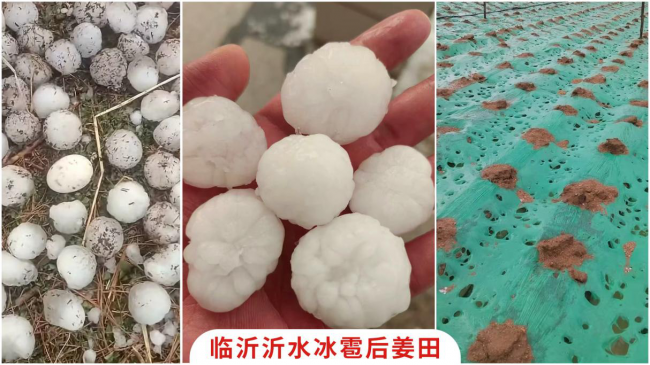 5月11日山东沂水冰雹