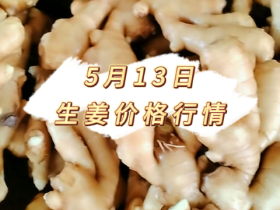 5月13日 生姜价格行情 ()