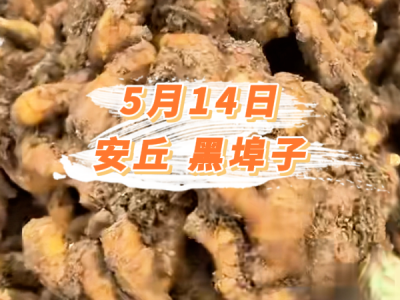 5月14日 安丘黑埠子价格行情 ()