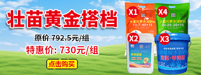 壮苗黄金搭档A