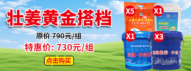 壮姜黄金搭档A