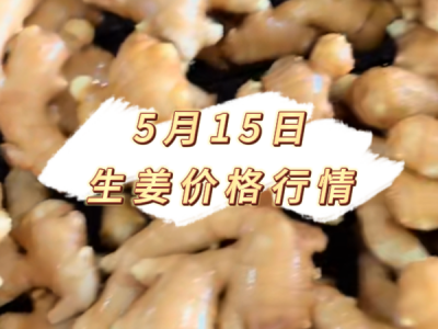 5月15日 生姜价格行情 ()