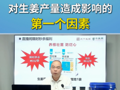 对生姜产量造成影响的第一个因素 ()