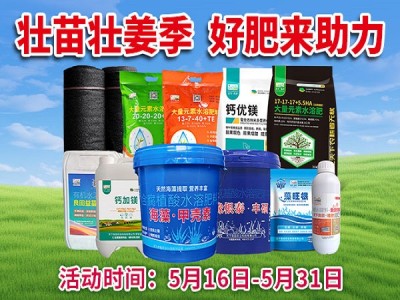 壮苗壮姜季 好肥来助力 ()