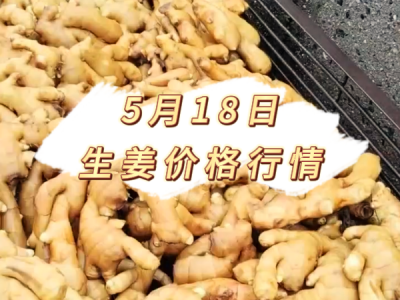 5月18日 生姜价格行情 ()