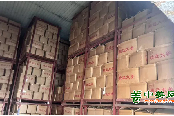 生姜啥时候涨价？ ()