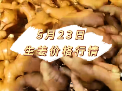 5月23日 生姜价格行情 ()