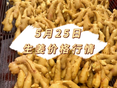 5月25日 生姜价格行情 ()