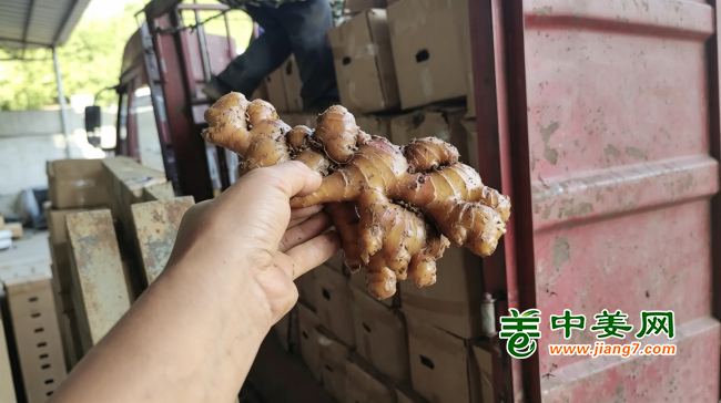 图片3