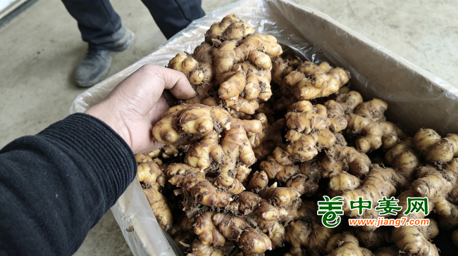 图片1