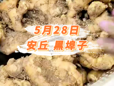 5月28日 安丘黑埠子价格行情 ()