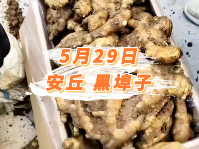5月29日 安丘黑埠子价格行情 ()