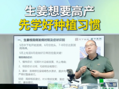生姜想要高产先学好种植习惯 ()