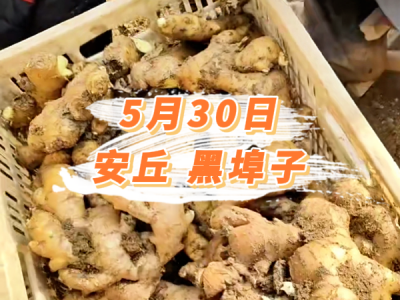 5月30日 安丘黑埠子价格行情 ()