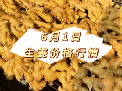 6月1日 生姜价格行情 ()