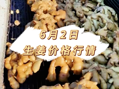 6月2日 生姜价格行情 ()