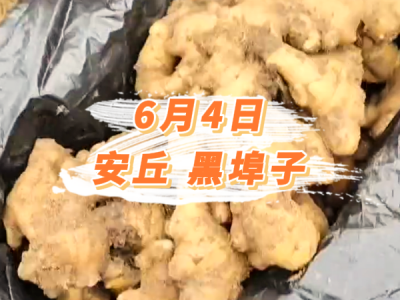 6月4日 安丘黑埠子价格行情 ()