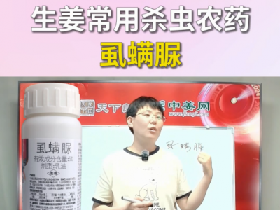 生姜常用杀虫农药虱螨脲 ()
