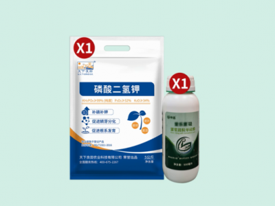 618特惠--生姜促分枝组合 ()