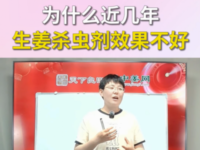 为什么近几年生姜杀虫剂效果不好？ ()