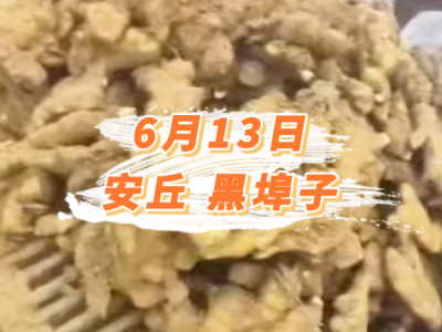 6月13日 安丘黑埠子价格行情 ()