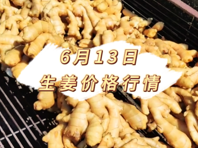 6月13日 生姜价格行情 ()